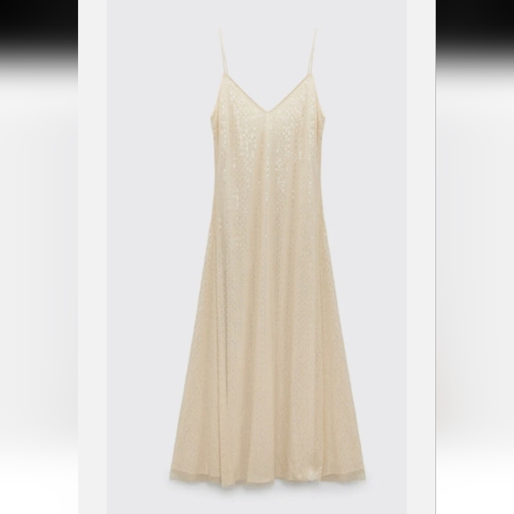 Zara Women's Beaded Sheer Sequins Maxi Dress Beige Size L - Picture 5 of 16